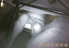 فتاة سكس عربيات مع حيوانات جميلة منفردا