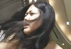 القط سكسي شيميل عربي